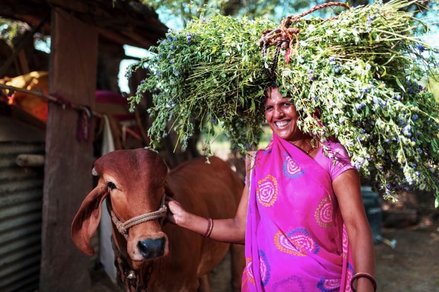 Hindustan Zinc Supported Farmers Achieve Rs 5 Cr Revenue